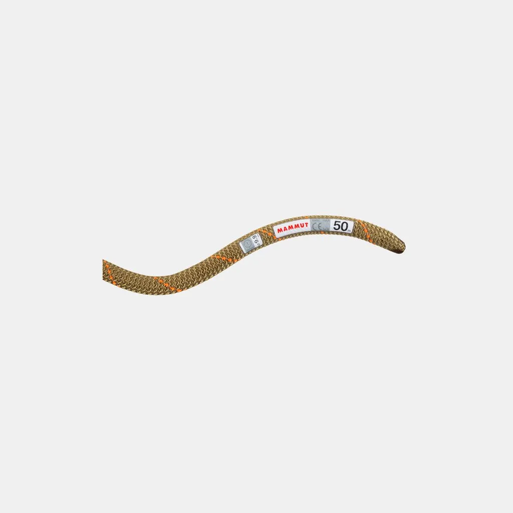 9.9 Gym Workhorse Classic Rope | 40m