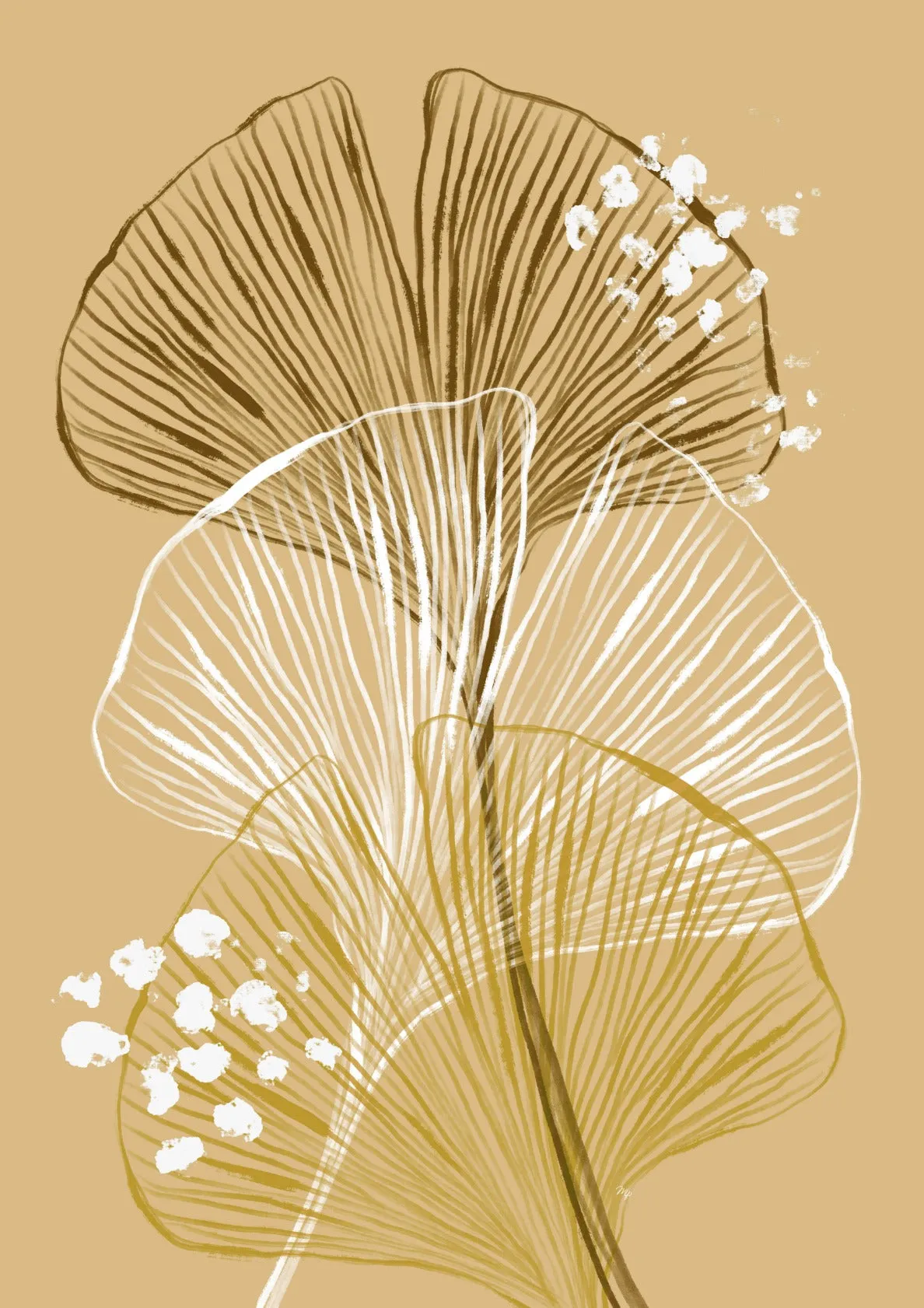 Beige Gingko plant