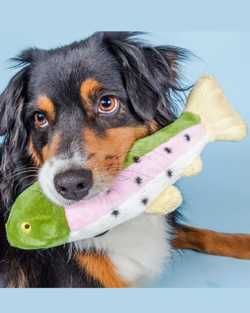 Burt the Lake Trout Dog Toy