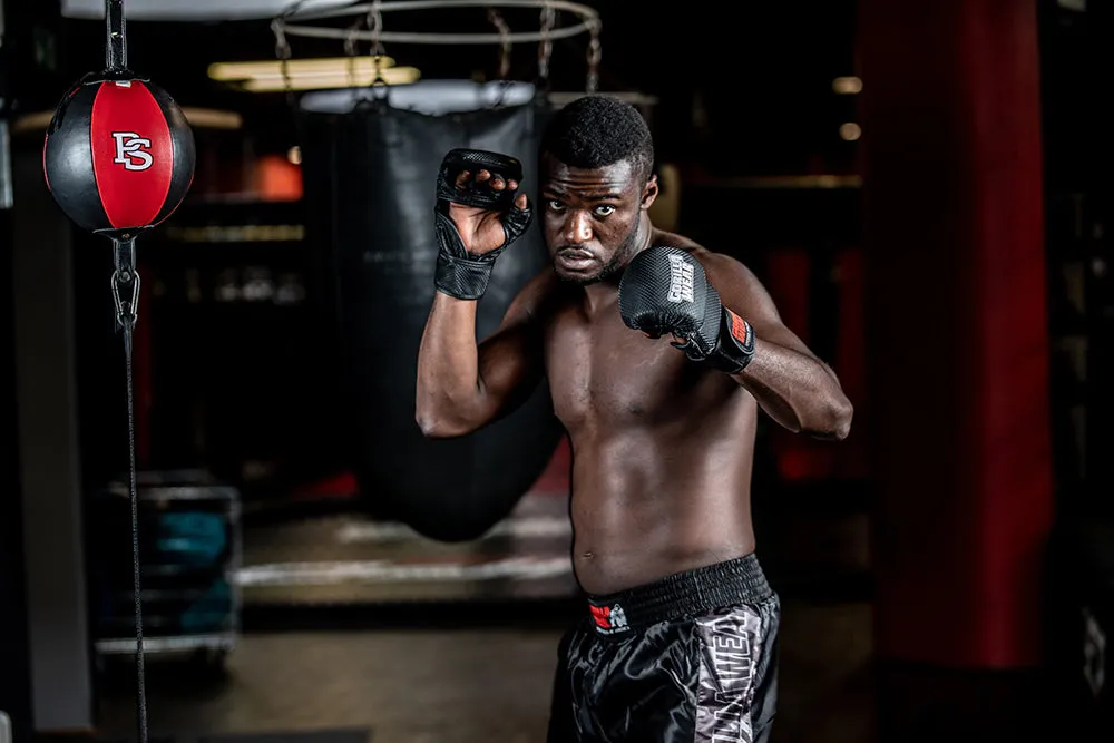 Ely MMA Sparring Gloves - Black/White