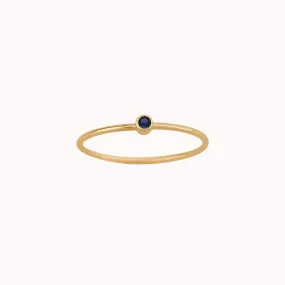 Tiny September Birthstone Ring ∙ Sapphire